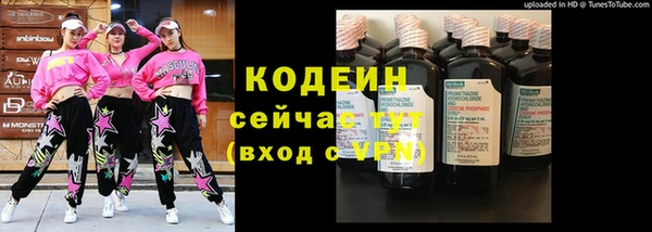 индика Корсаков
