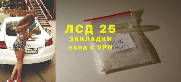 индика Корсаков