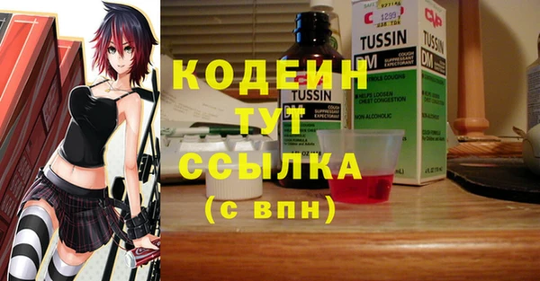 индика Корсаков