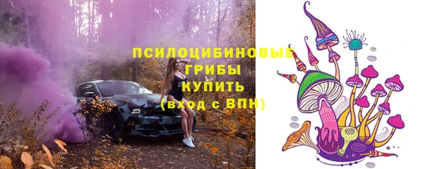 скорость Краснослободск