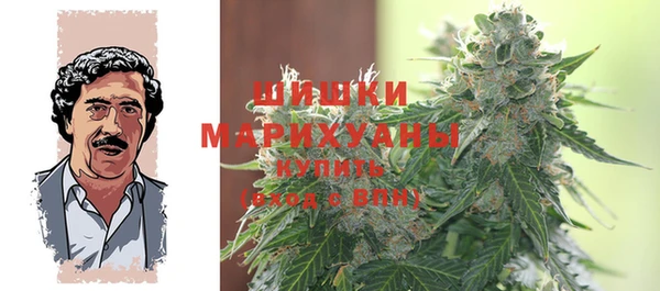 ГАЛЛЮЦИНОГЕННЫЕ ГРИБЫ Краснотурьинск