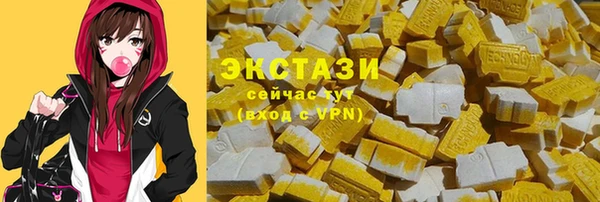 индика Корсаков