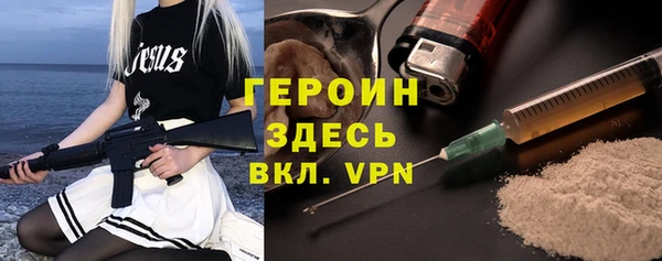 индика Корсаков